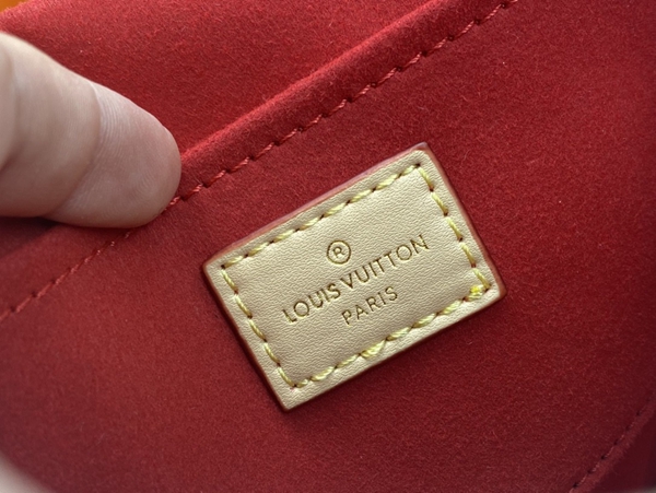 ルイヴィトンバッグ着用イメージ